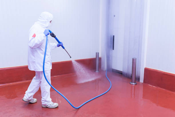 Best Soft Washing  in Honesdale, PA